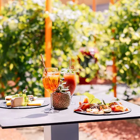 Radisson Blu Toulouse Airport Hotel 4*