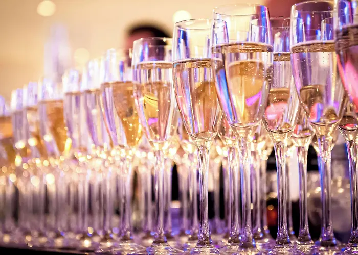 Hotel Radisson Blu Toulouse Airport