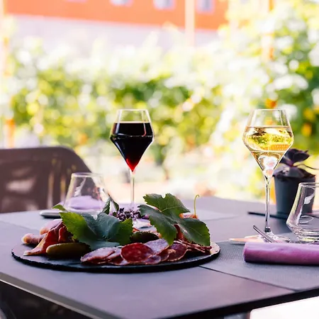 Radisson Blu Toulouse Airport Hotel 4*