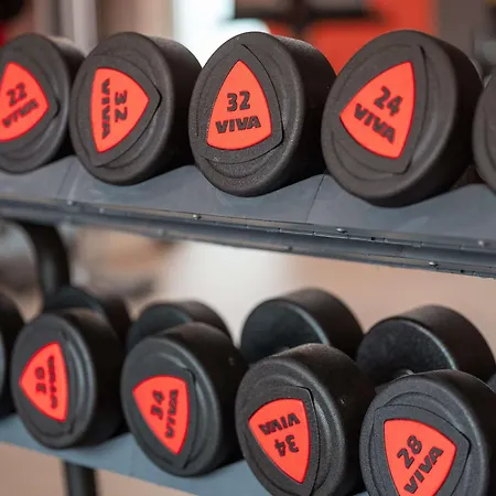 Radisson Blu Toulouse Airport 4* Μπλανιάκ