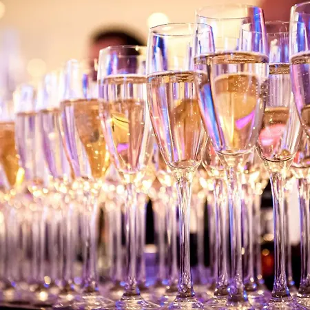 Hotel Radisson Blu Toulouse Airport Blagnac