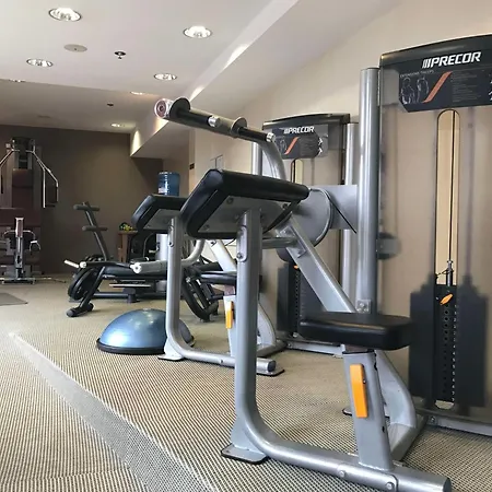 Radisson Blu Toulouse Airport Ξενοδοχείο Μπλανιάκ