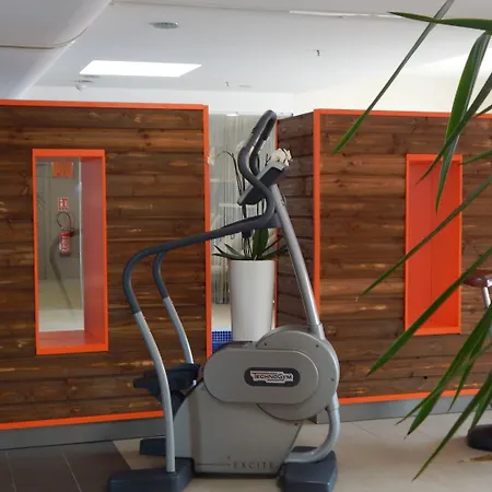 Radisson Blu Toulouse Airport Hotel Blagnac