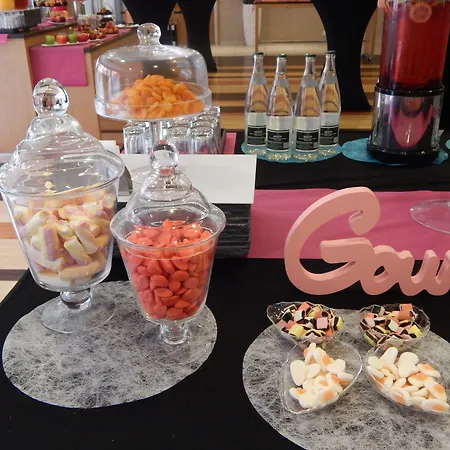 Ξενοδοχείο Radisson Blu Toulouse Airport Μπλανιάκ