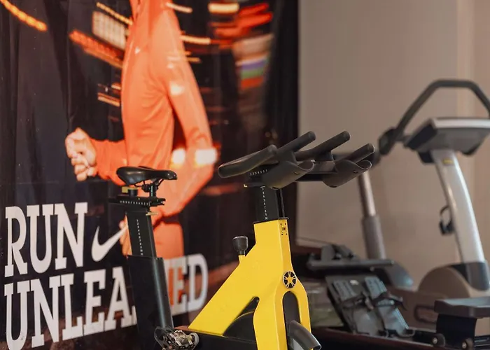 Hotel Radisson Blu Toulouse Airport 4*